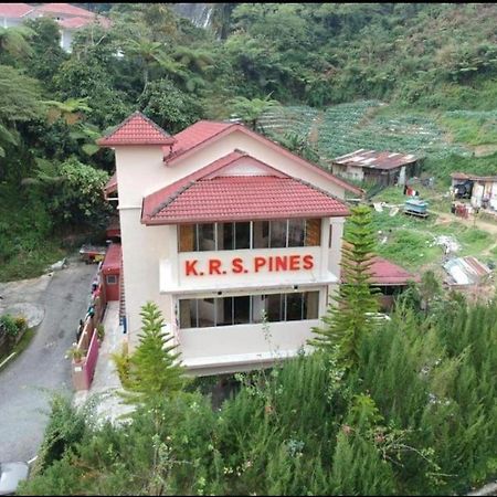 Krs Pines Hotel Cameron Highlands Exteriér fotografie