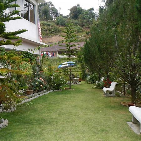 Krs Pines Hotel Cameron Highlands Exteriér fotografie