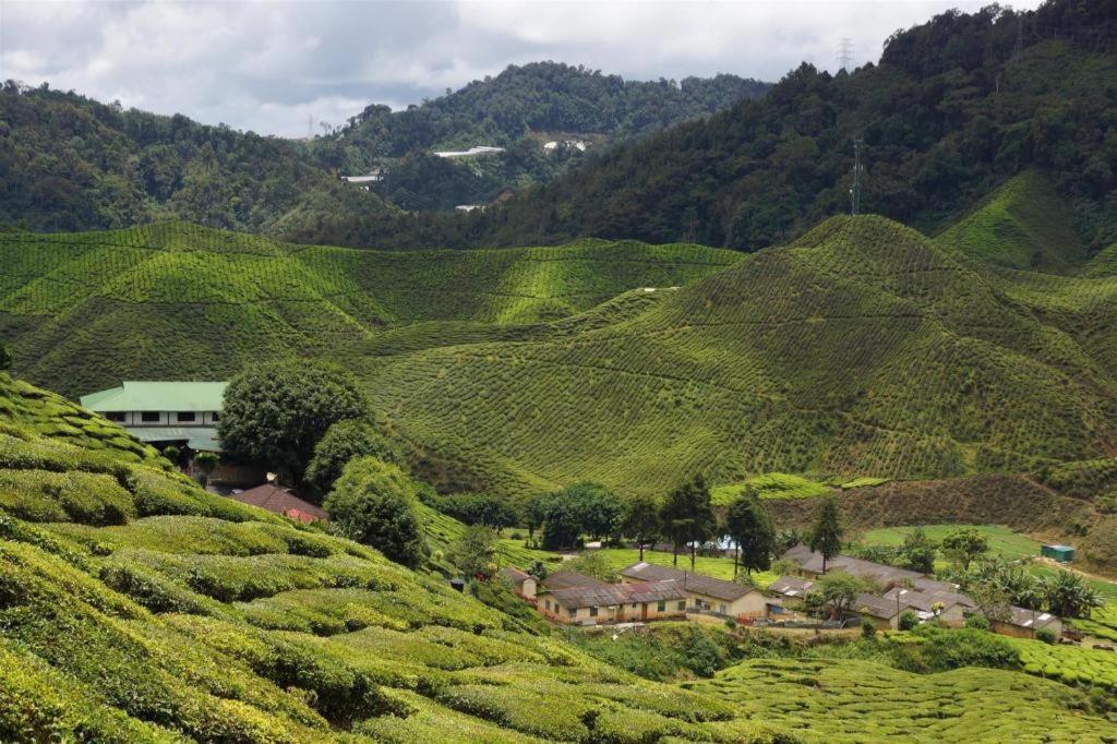 Krs Pines Hotel Cameron Highlands Exteriér fotografie